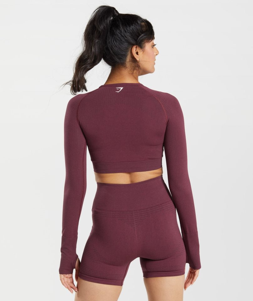 Women's Gymshark Vital Seamless 2.0 Cropped Tops Burgundy | CA 7AN036